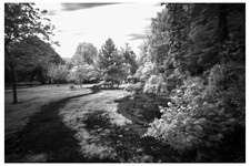 South park, Darlington, UK.. -