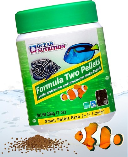 Ocean nutrition formula two - nutrition,