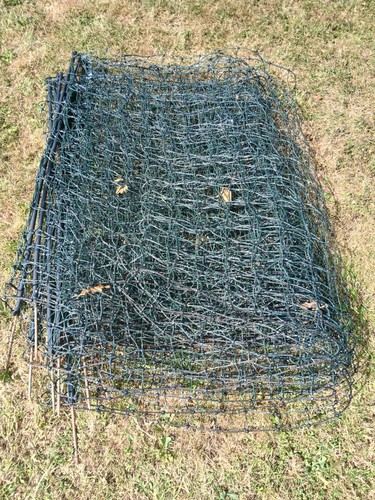 25m chicken electric - , netting