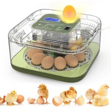 12 Egg Incubator Digital
