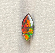 Natural Ammolite 1.8ct