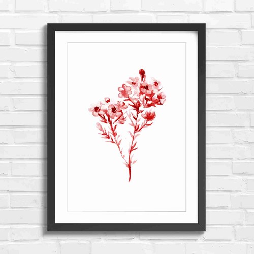 Delicate purple wildflower - delicate,