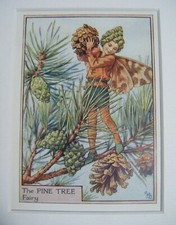 Vintage Flower Fairies Print &