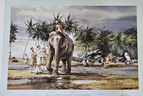 Puttalam elephants robert - puttalam, by