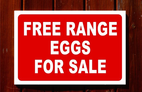 Free range eggs for - eggs, sale