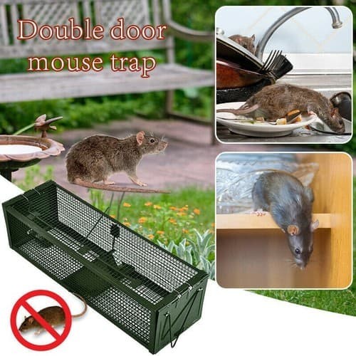 Humane rat trap cage stainless - trap,