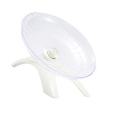 Chinchilla exercise wheel - chinchilla,