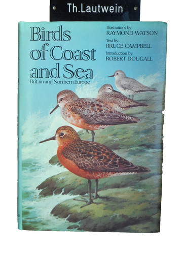 Birds coast and - and, britain