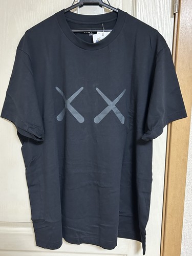 Nwt uniqlo kaws andy - kaws, warhol