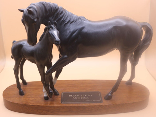 Black beauty and foal - beauty,