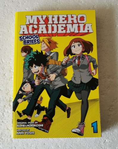 Hero academia school - academia, briefs