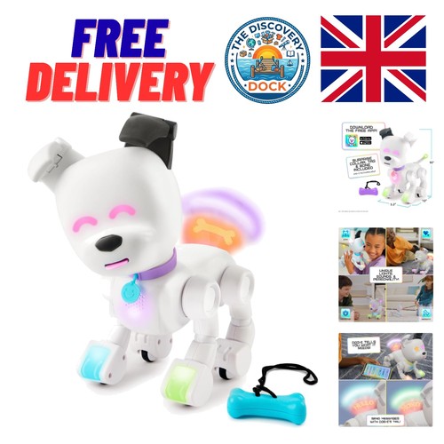 Playful interactive robotic - interactive,