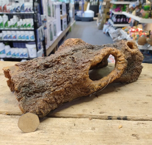 Large log cave tree stump - large,