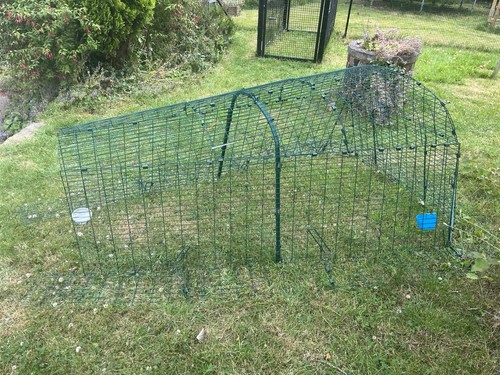 Chicken run eglu - chicken, run.
