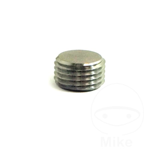 Jmp plug caliper pin - plug,