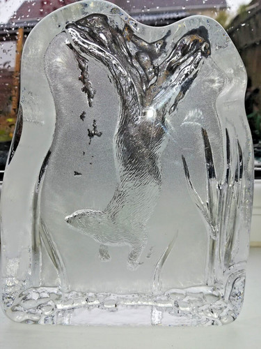 Edinburgh crystal glass otter - edinburgh,