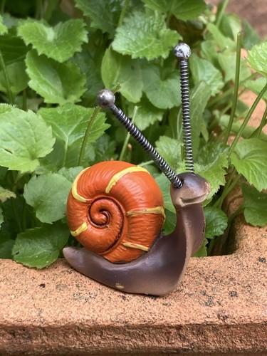 Cute tiny snail ornament - cute, /
