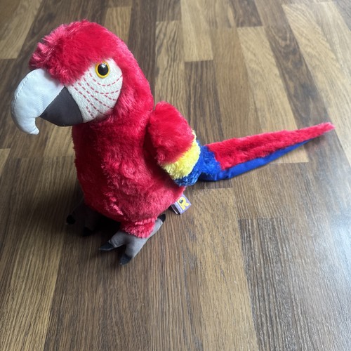 Ravensden macaw parrot bird