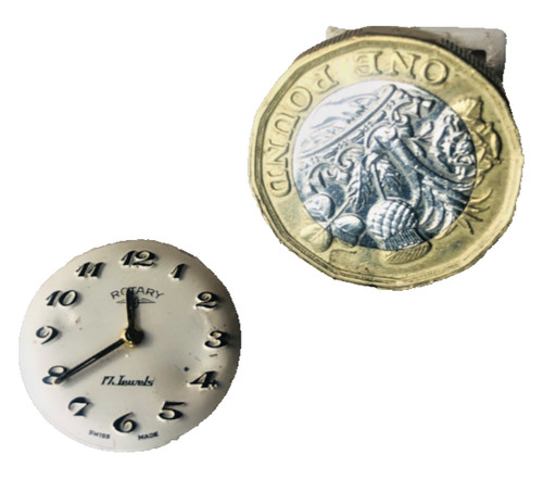 Rotary watch wristwatch face - watch,