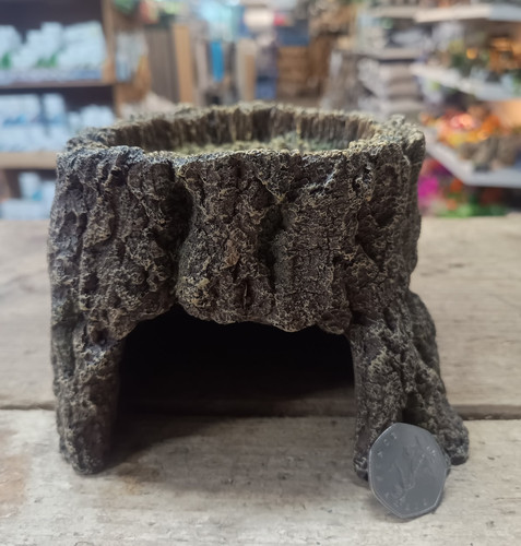 Tree stump cave hideaway - tree,