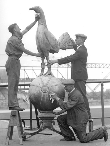 Tottenham hotspur white hart - white,