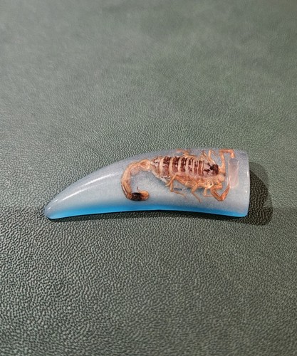 Real scorpion encased blue - scorpion,