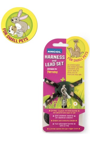 Ancol ferret harness and lead - ancol,
