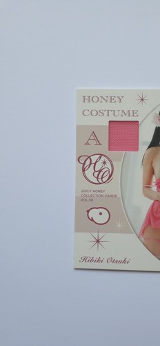 Juicy honey hibiki otsuki vol - honey,