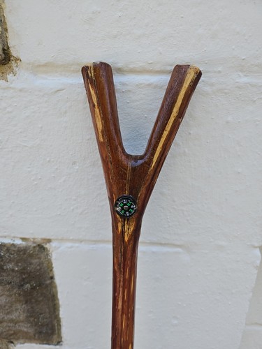 Thumbstick walking staff