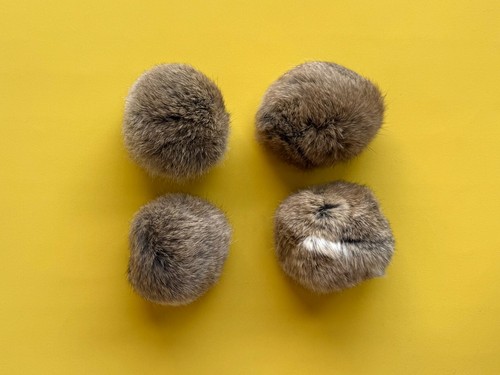 Rabbit fur pom - rabbit,