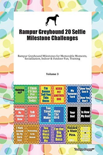 Rampur greyhound selfie - greyhound, 20