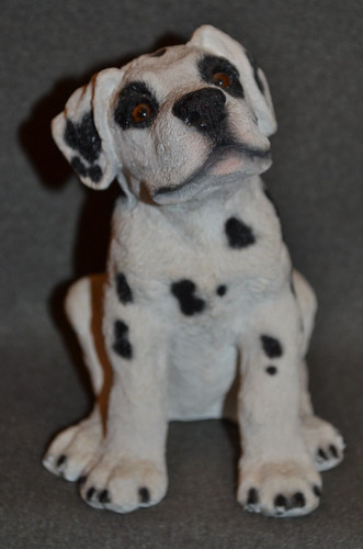 Dalmatian boxer dog breed - dalmatian,