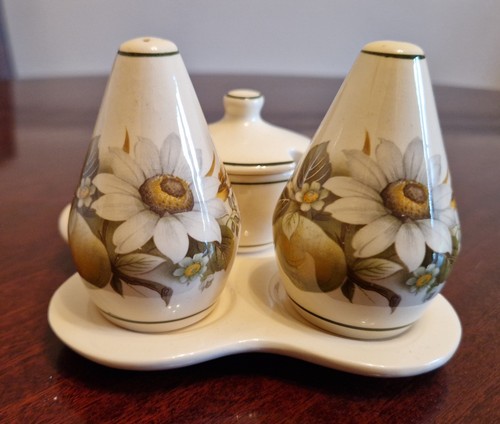 Brixham pottery cruet set - pottery,