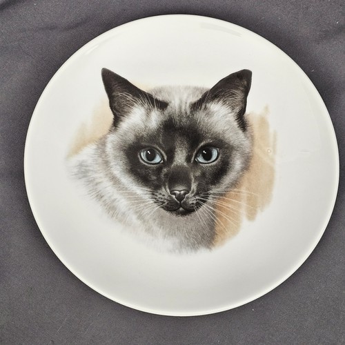 Siamese cat plate bavaria - cat,