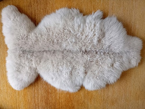 White alpaca skin rug - skin,
