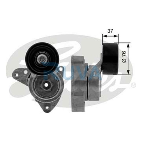 Fits honda accord - fits, civic