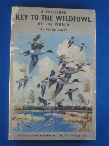 Coloured key the wildfowl - a,