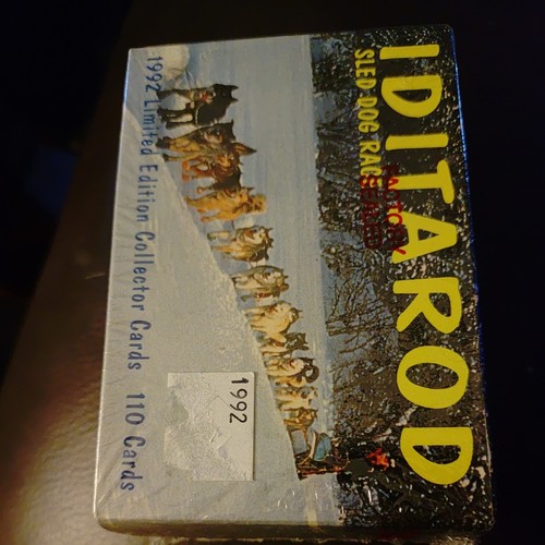 Iditarod sled dog - dog, racing