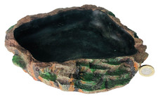 Water Bath Pet Lizard Snake Container for Pet Home ncb