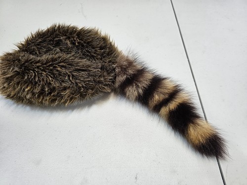 Davey crockett coonskin cap - davey,