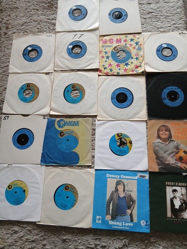 The osmonds donny - the,