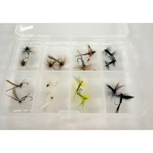 Barbless popular summer - popular, dry
