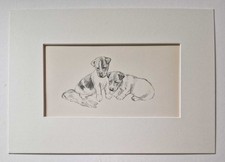 BARKER 'The Glove' Jack