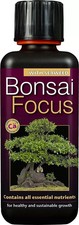 Growth technology bonsai focus - growth,
