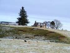 Photo 12x8 Lynn of Knockando