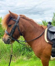 Plaited browband bridle hunter - plaited,