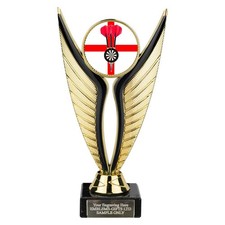 England Darts Award 195mm