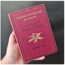 Wayside & Woodland Blossoms Series Three Edward Step British Wild Flowers Orchid