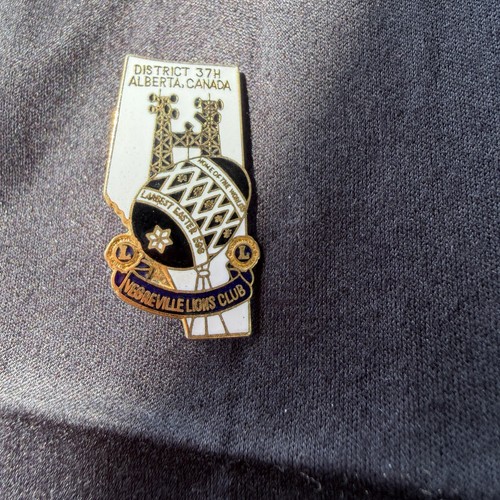Vintage vegreville lions - lions, club