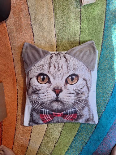 Cat cushion 40x40cm - cushion, 40x40cm.